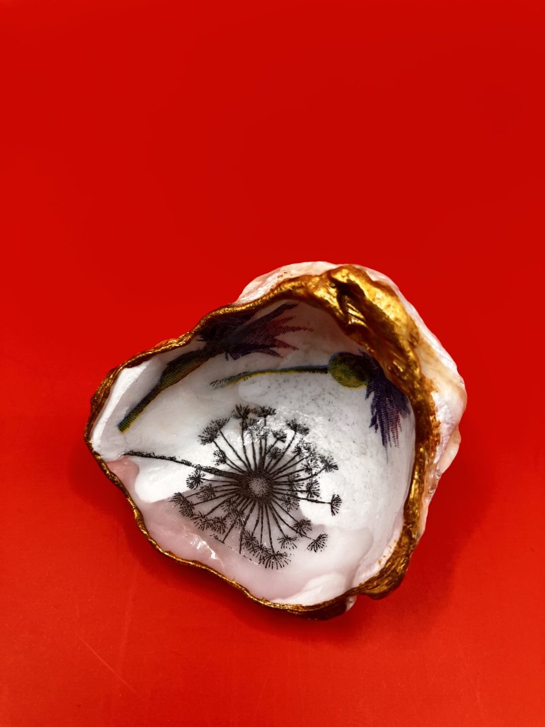 Uitgelichte afbeelding voor “Oesterschelp, paardenbloem”
