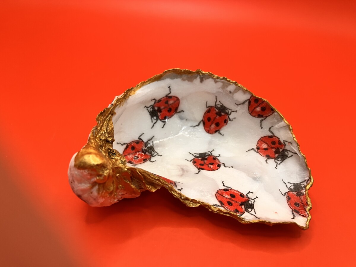Oesterschelp met lieveheersbeestjes - Afbeelding 2
