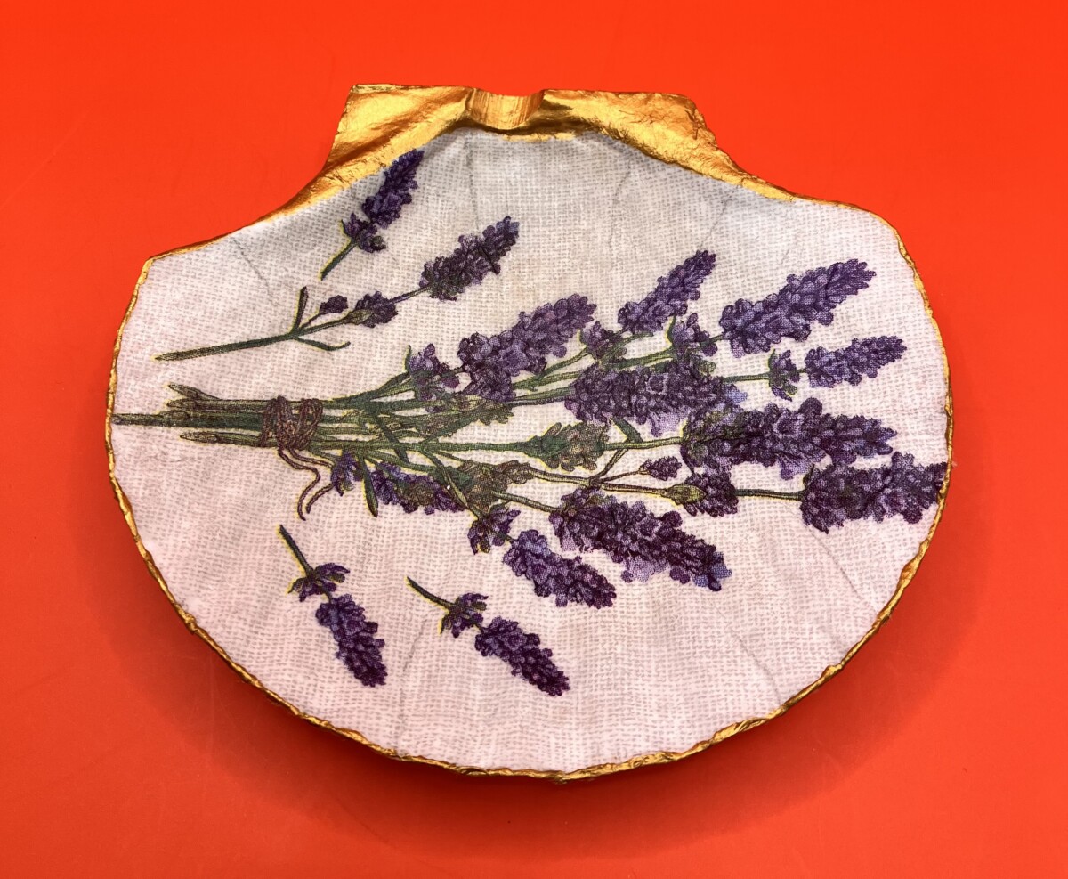 Uitgelichte afbeelding voor “Sint-jacobsschelp lavendel”