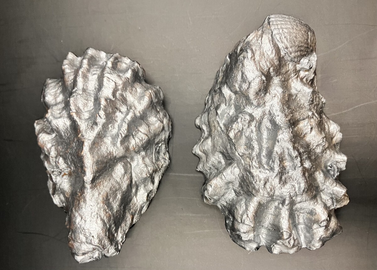 Set van twee oesterschelpen in zwart/wit/zilver - Afbeelding 5