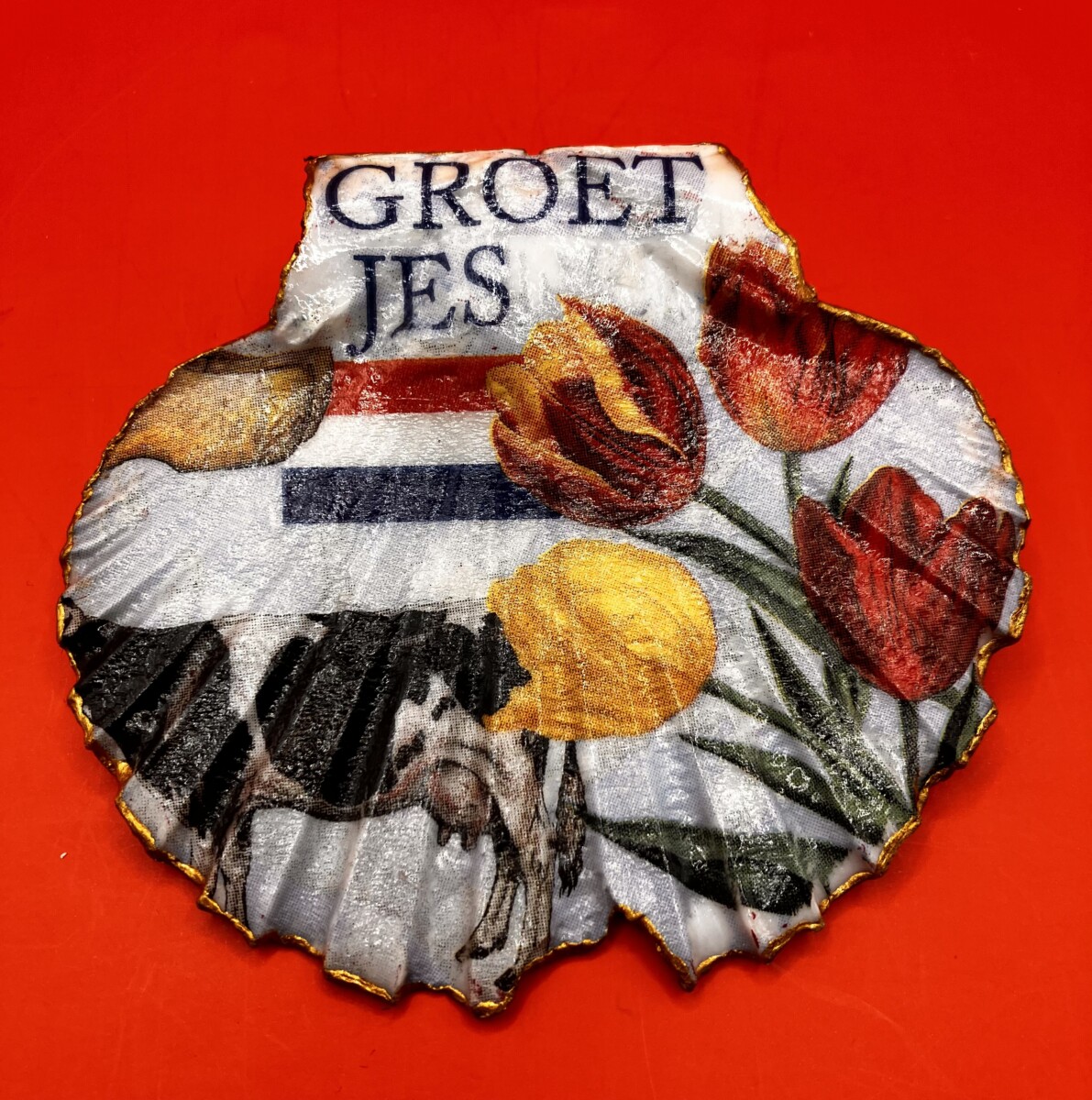 Uitgelichte afbeelding voor “Kleine sint-jacobsschelp Nederland”