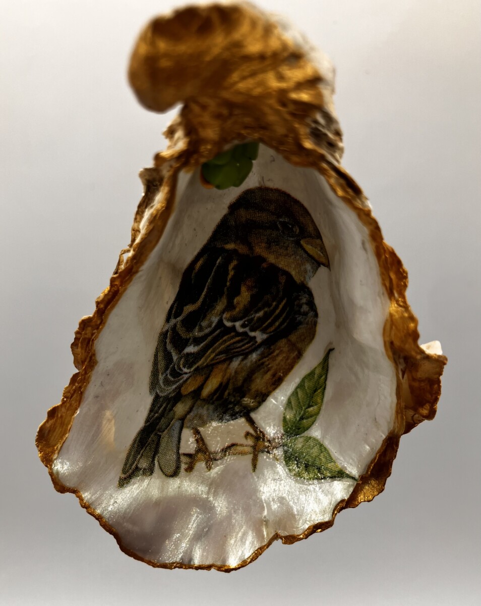 Oesterschelp met musje - Afbeelding 3