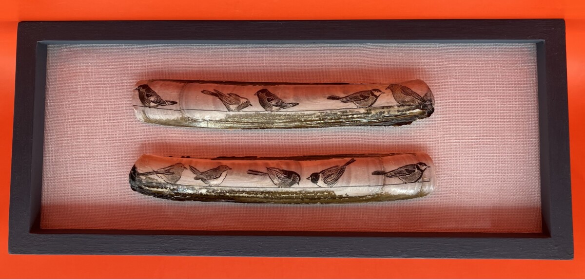 Schelpen met vogels in blauwe lijst - Afbeelding 4
